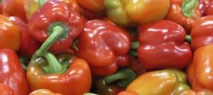 pimiento-israel-turquia