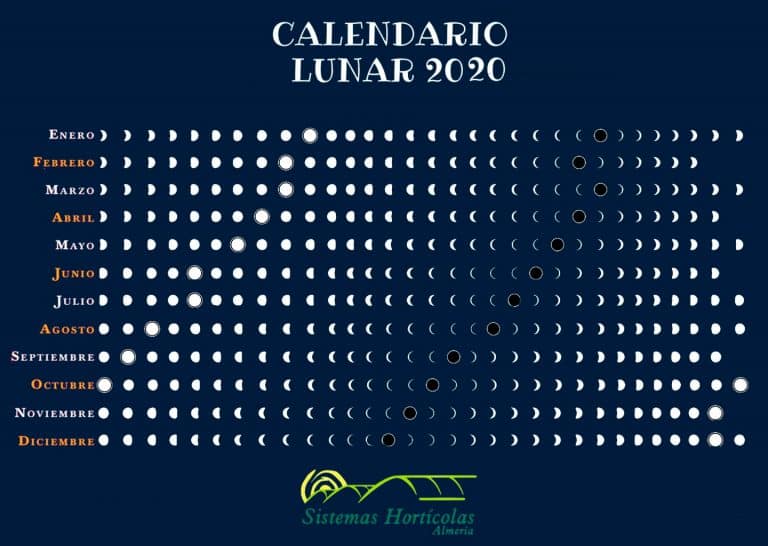 Calendario Lunar para la siembra de frutas y hortalizas Sistemas