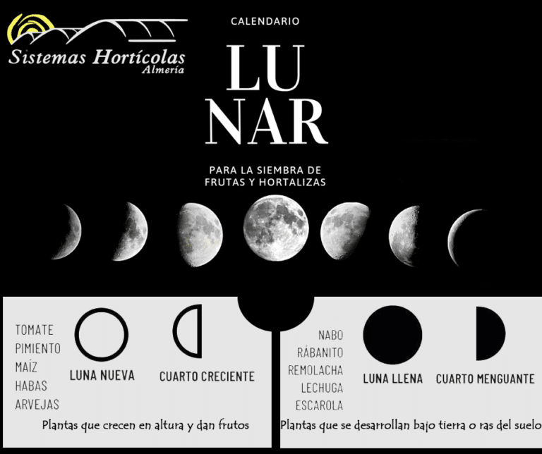 Astro Luna 24 De Enero 2024 Image to u