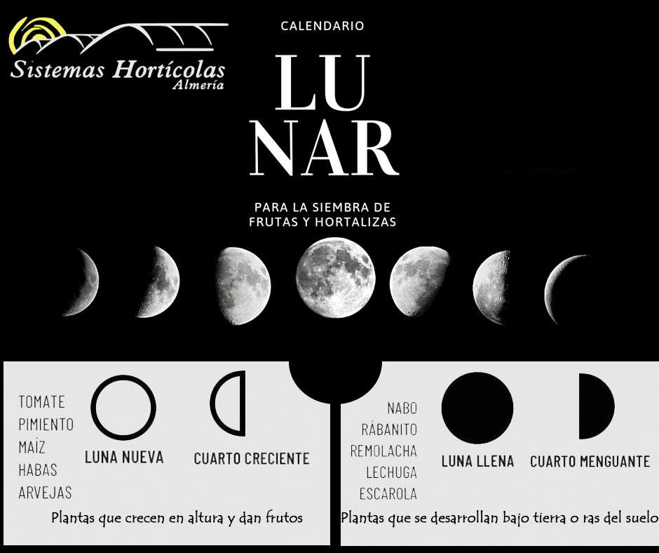 Calendario Lunar para la siembra de frutas y hortalizas - Sistemas  Hortícolas Almería