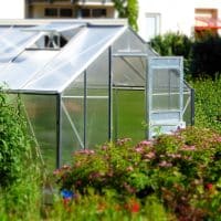 Fresas Frescas Orgánicas Maduras Cultivadas En Granja De Fresas En  Invernadero. Un Método Moderno De Crecimiento Vertical En La Ag Imagen de  archivo - Imagen de planta, postre: 210686701