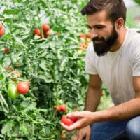 agricultura de subsistencia