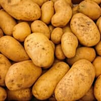 como sembrar patatas