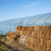 tunel de cultivo