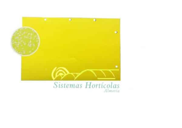 Sistemas Horticolas