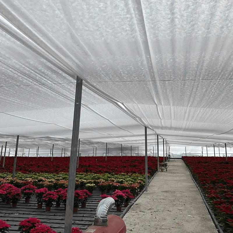  Manta térmica para protección de plantas de 3 x 250