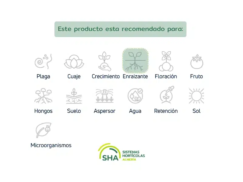Sistemas Hortícolas Almería Vigore Raiz