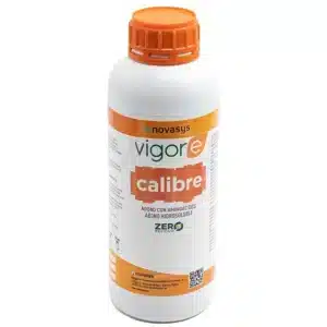 Vigore Calibre