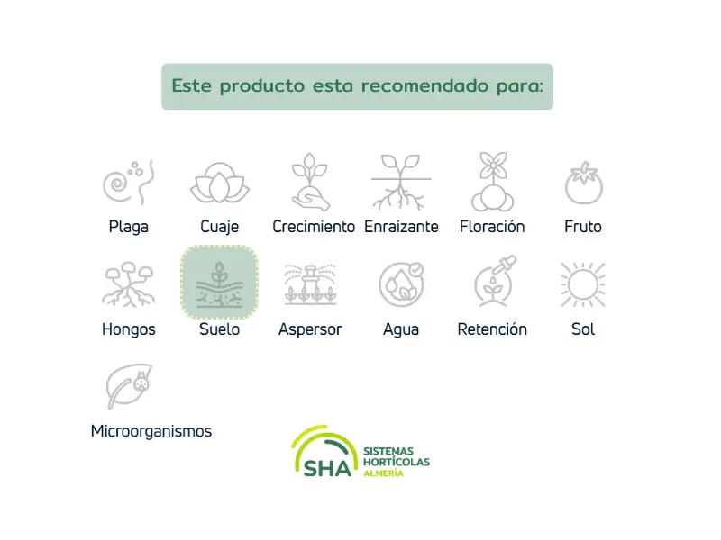 Sistemas Hortícolas Almería Bioestimulante oxigenador de suelos Vigore Oxy - Imagen 2