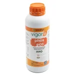Vigore